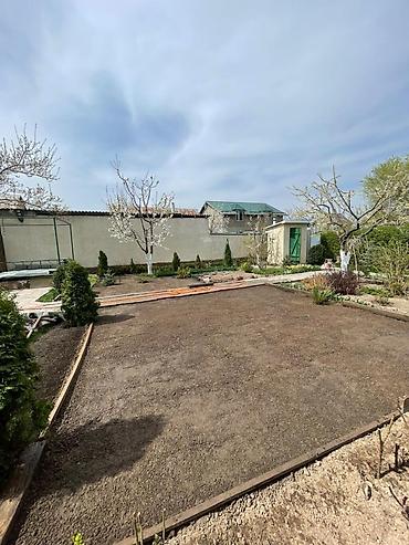 Другие стройуслуги: Сеем газон!☘️☘️ Посев газона🍀🍀 Косим газон🌱🌱 Травим — 13