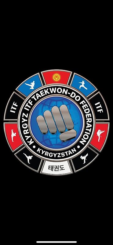 Печать: Шелкография, | Одежда — 3