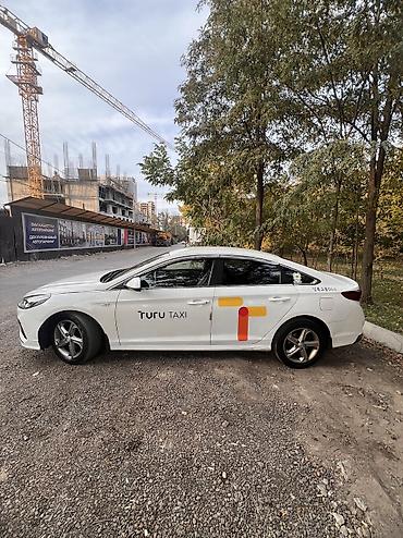 газ 53 нарын: Hyundai Sonata: 2020 г., 2 л, Автомат, Газ, Седан — 3