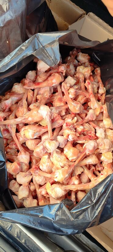 Yemlər: It yemi. Toyuqun Qabirga ve Bud sumuyu, Toyuq farji. Toyuq qanad -da lalafo.az — 8 Yemlər: It yemi. Toyuqun Qabirga ve Bud sumuyu, Toyuq farji. Toyuq qanad — 8