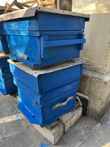 Ящики для пчел: Ari yeşiyi 40manat