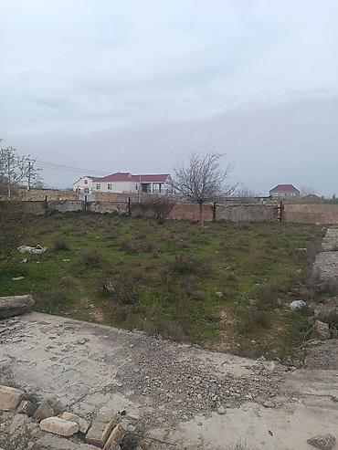 sumqayıtda: 6 sot, Tikinti, Mülkiyyətçi, Kupça (Çıxarış) — 2