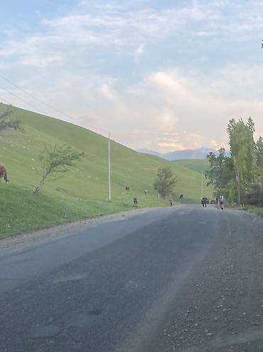 Продажа участков: 15 соток — 4