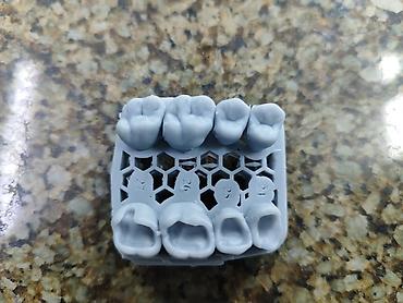 стоматологический аппарат: 3D‑печать учебных стоматологических моделей на заказ - Печатаем — 1