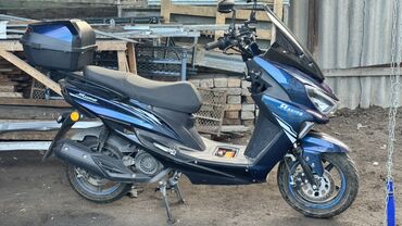 Скутеры: Тип скутера 180 куб. см, Бензин, Б/у — 1