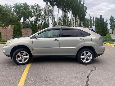bse x5: Lexus RX: 2004 г., 3.3 л, Автомат, Бензин, Внедорожник — 8