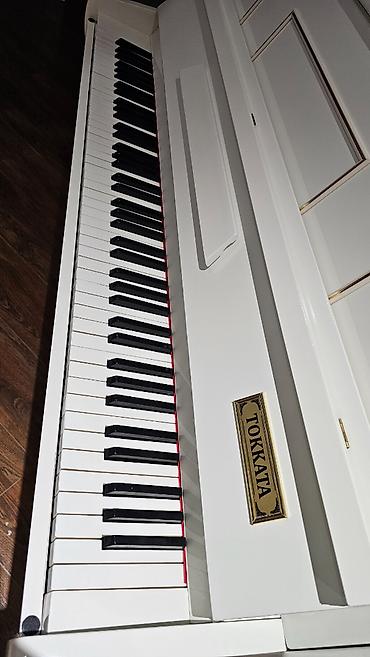 Musiqi alətləri: Piano əla vəziyyətdədir, çox səliqəli saxlanıb. Tokkata modeldir — 3