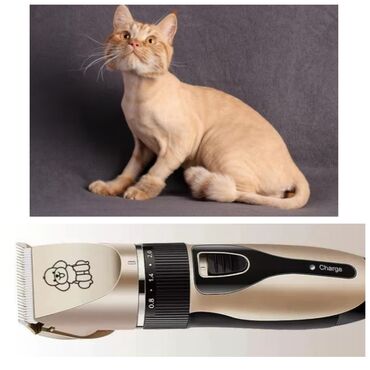 ножницы для когтей кошек: Продаю новую груминг машинку для стрижки кошек и собак так же подойдет