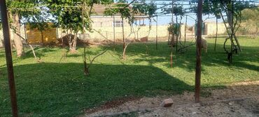 Uzunmüddətli kirayə mənzillər: *Təcili kirəyə EV. Məhləli Ev Kiçik ev təsərrüfatı üçün əlverişli — 11