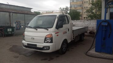Легкий грузовой транспорт: Легкий грузовик, Hyundai, Стандарт, До 1 т, Новый