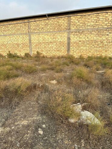 Torpaq sahələrinin satışı: 30 sot, Kənd təsərrüfatı, Makler, Kupça (Çıxarış), Texniki pasport -da lalafo.az — 10 Torpaq sahələrinin satışı: 30 sot, Kənd təsərrüfatı, Makler, Kupça (Çıxarış), Texniki pasport — 10