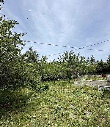 Продажа дачи: 🏡🔥 ПРОДАЁТСЯ ДАЧА В ТАШ-МОЙНОКЕ! ДТ: «Мичуринец» 🌿 💥 Участок — 6 — 7