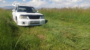 Subaru: Subaru Forester: 2001 г., 2 л, Механика, Бензин, Кроссовер