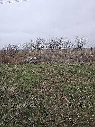 Продажа участков: 4 соток, Для строительства, Красная книга, Договор купли-продажи — 4