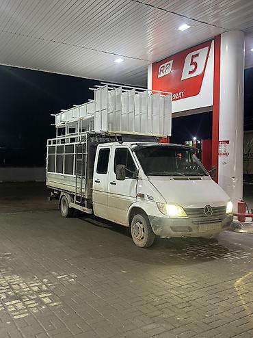 Mercedes-Benz: Mercedes-Benz Спринтер: 2005 г., 2.7 л, Типтроник, Дизель — 12