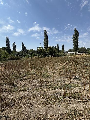 Продажа участков: 19 соток — 3