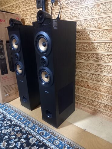 Musiqi mərkəzləri: Ağzı bağlı qutu. Dinamiki özəl edən tərəflər: 1. Güclü və təmiz səsi — 7