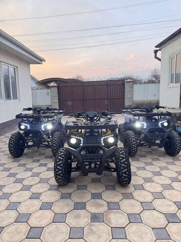 Квадроциклы: Квадроцикл Бензин, 250 куб. см, Взрослый — 2