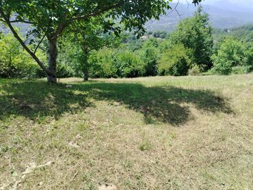 Torpaq sahələrinin satışı: Tikinti — 20