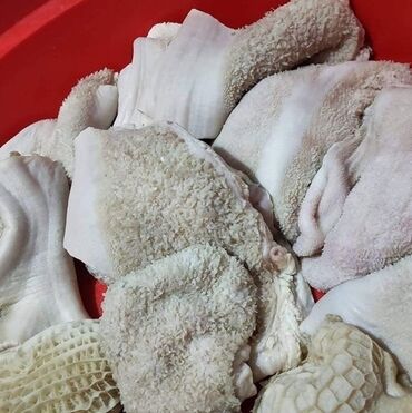 зоомагазин бишкек с животными: Требуха для собак свежая Мытая без запаха Есть 300 кг