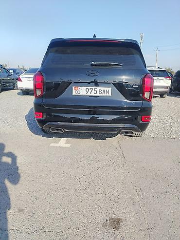 силк вэй: Hyundai Palisade: 2020 г., 2.2 л, Автомат, Дизель, Кроссовер — 6