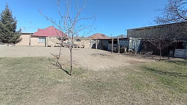 Продажа участков: 25 соток at lalafo.kg — 20 Продажа участков: 25 соток — 20
