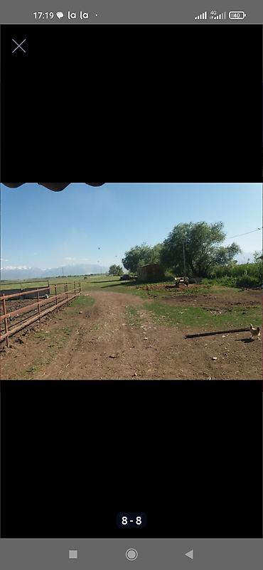 Продажа другой коммерческой недвижимости: Срочно продается кошара.( в 7 км от трасы Бишкек Кара- Балта ) 40 — 9