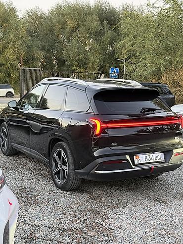 Exeed: Exeed : 1.5 л | 2024 г. Кроссовер — 12