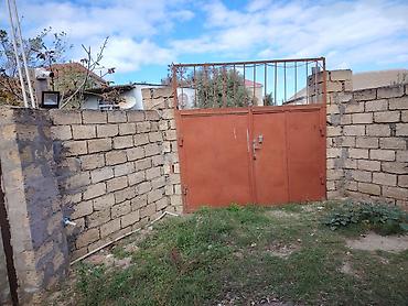 Həyət evləri və villaların satışı: NOVXANL BAĞLARI DƏNİZ KƏNARI 12 DAŞ KÜRSÜLÜ QİYMƏTDƏ ENDİRİM OLUNACAQ — 13