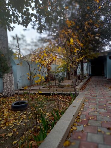 Restoran, kafelər: Tecili Heyder Eliyev prospektinde Wefa stadiondan uzu Korogluya esas — 9