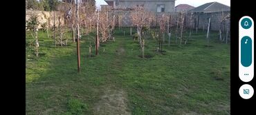 Torpaq sahələrinin satışı: 3 sot, Tikinti, Kupça (Çıxarış) — 5