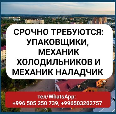 упаковщик на дому: Талап кылынат Таңгактоочу, Төлөм Күн сайын, Тажрыйбасыз