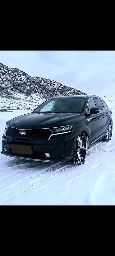 Kia: Kia Sorento: 2020 г., 2.2 л, Автомат, Дизель, Кроссовер — 14