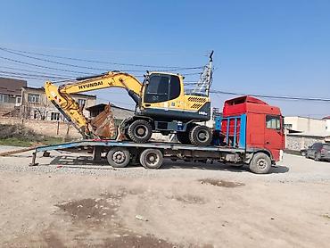 Трал трал одиночка в любое время