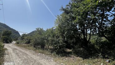 Torpaq sahələrinin satışı: 10 sot, Tikinti, Kupça (Çıxarış) — 6