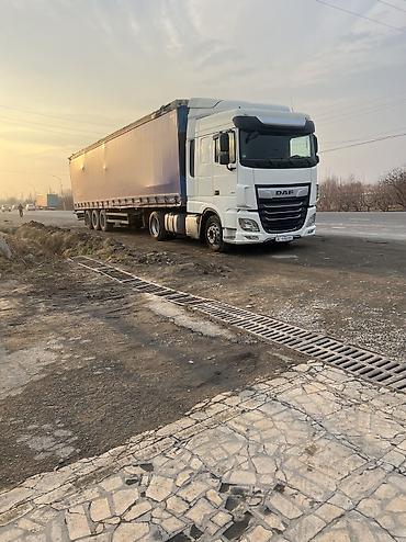 265 65 18: Тягач, DAF, 2018 г., Без прицепа — 9