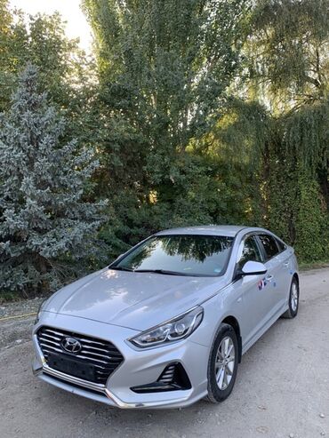 купить опель вектра б: Hyundai Sonata: 2019 г., 2 л, Автомат, Газ, Седан