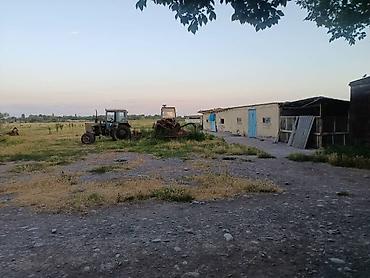 Кыймылсыз мүлк: Мүйүздүү бодо мал фермасы, 1500 соток, Жарым-жартылай жабдуулары менен, Электр энергиясы — 4