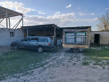 toyota 4runner купить: Volkswagen Passat: 1989 г., 1.8 л, Механика, Бензин, Универсал