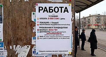требуется водитель категория с: Вакансия Условия: - Оплата: 8 000 сом день - Локация: г. Кордай - — 1