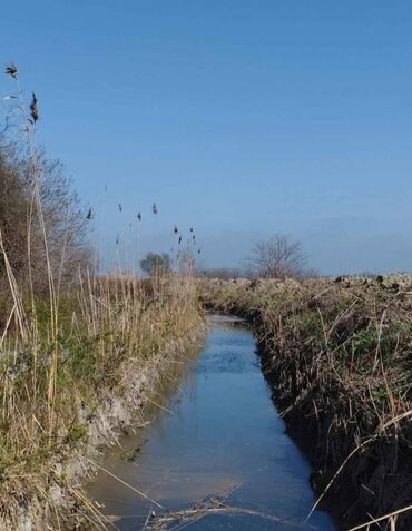 4 b disklər var: 400 sot, Kənd təsərrüfatı, Mülkiyyətçi, Kupça (Çıxarış)