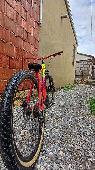 Dağ velosipedləri: ZIGZAG dağ velosipedi - Çərçivə: yüngül alaşımlı hardtail, parlaq — 1