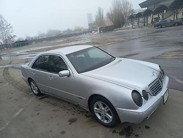 e53 amg: Mercedes-Benz E-Class: 2001 г., Автомат, Седан — 1