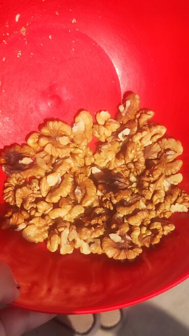 орех оптом: Принимаем грецкий орех