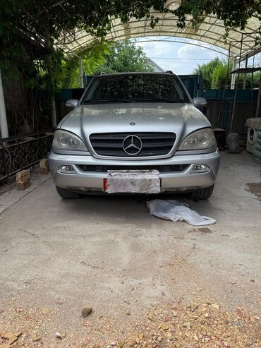 Mercedes-Benz: Mercedes-Benz : 2002 г., 3.2 л, Автомат, Бензин, Внедорожник