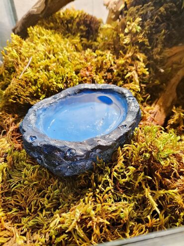 Зоотовары: 🌿 Украшения и декорации для аквариумов и террариумов 🌿 Продаю — 8