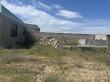 xasaxuna: 65 sot, Kupça (Çıxarış) — 6