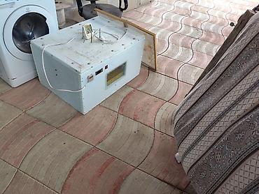 İnkubatorlar: 100 yumurta, Azərbaycan, Tam avtomat, Bütün növ quşlaq üçün — 4