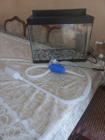 Akvariumlar: Akvarum satılır 40 selqiledir lazim üçün fso — 8