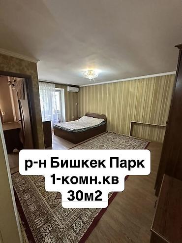 24: 1 комната, 30 м², Бишкек Парк ТРЦ Индивидуалка, 2 этаж, Косметический ремонт — 1